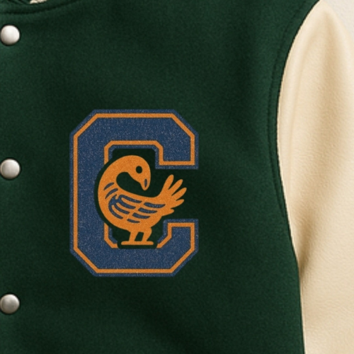 The Varsity Jacket